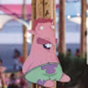 Meet your Posher, Andy